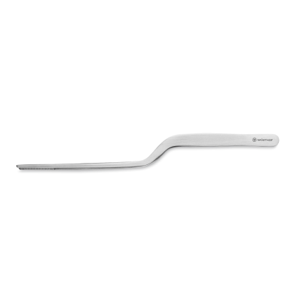 Kuchyňská pinzeta 20 cm, stříbrná, nerezová ocel, Wüsthof