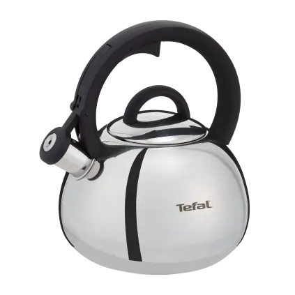 Varná konvice DUETTO+ 2,5 l, stříbrná, nerezová ocel, Tefal