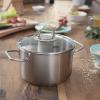 Kastrol VISEO 20 cm, 2,4 l, nerez, Fissler