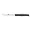 Snídaňový nůž Twin Grip Zwilling 12 cm