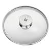 Poklice TWIN® SPECIALS 20 cm, s nerezovým úchytem , sklo, ZWILLING