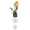 Samozavlažovací květináč 15 cm, na orchideje, sklo, Eva Solo