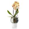 Samozavlažovací květináč 15 cm, na orchideje, sklo, Eva Solo