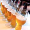 Sklenice na pivo, sada 6 ks, IPA Craft Beer , Spiegelau