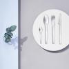Jídelní nůž EM 21 cm, stříbrná, nerezová ocel, Stelton