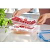 Dóza na potraviny MASTER SEAL FRESH K3021412 1,2 l, Tefal