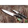 AMBIANCE IDEAL RIVETS INOX LION SABATIER