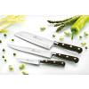 AMBIANCE IDEAL NOIR RIVET LAITON LS (1)