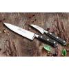 Sada nožů IDÉAL PRÉPARER, se santoku nožem, 3 ks, nerezové nýty, Lion Sabatier
