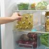 Dělící přepážka FRIDGESTORE 851665 20 cm, do lednice, čirá, plast, Joseph Joseph