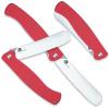 Kapesní nůž EASY 11 cm, červená, Dellinger