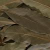 pic list 5 MM15509 5710175155096 MillMortar