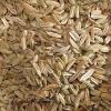 Bio fenykl 40 g, semena, Mill & Mortar