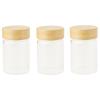 Dóza na potraviny PKV-030 75 ml, sada 3 ks, sklo / bambus, Pebbly