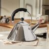 Varná konvice 9093 TEA REX 2 l, stříbrná / černá, nerezová ocel, Alessi
