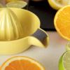Lis na citrus JUICY 14 cm, žlutá, plast, RIG-TIG