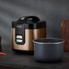 Rýžovar COPPERTINTO RK364G10 2 l, měděná, Tefal