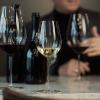 Sklenice na bílé víno ENOTECA 319 ml, sada 2 ks, Zwiesel Glas