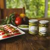 tomates 1 carre web 1024x1024