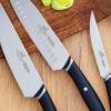 Sada nožů PYXIS INOX, se santoku nožem, sada 2 ks, nerezové nýty, Lion Sabatier