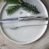 Steakový nůž 10 cm, sada 4 ks, březové dřevo, Opinel