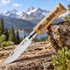 Kapesní nůž N°08 ANIMALIA WILD BOAR 8,5 cm, dubové dřevo, Opinel