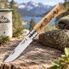Kapesní nůž N°08 ANIMALIA DOG 8,5 cm, dubové dřevo, Opinel