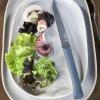 Jídelní nůž BON APPÉTIT + 11 cm, šedá, plast, Opinel