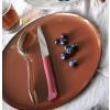 Jídelní nůž BON APPÉTIT + 11 cm, granátová, plast, Opinel