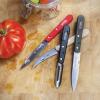 Sada nožů ESSENTIELS LOFT, sada 4 ks, vícebarevná, habrové dřevo, Opinel