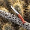Kapesní nůž N°07 BUSHWACKER 8 cm, oranžová, habrové dřevo, Opinel