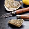 Nůž na ústřice N°09 6,5 cm, dřevo padouk, Opinel