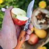 opinel classique┬®thvallier 82