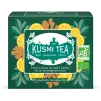Bio maté bylinný čaj se zázvorem a citronem, 20 mušelínových sáčků, Kusmi Tea